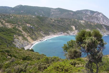 Land for Villa in Skiathos Island Land for Villa in Skiathos Island