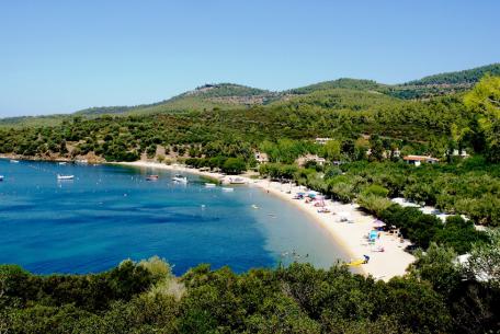 Exotic beach in front of the villa complex Villa for Sale in Halkidiki - The beach