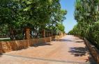 Private Road surrounding the villas