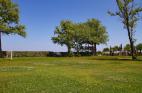 Private mini football court and Tree House 